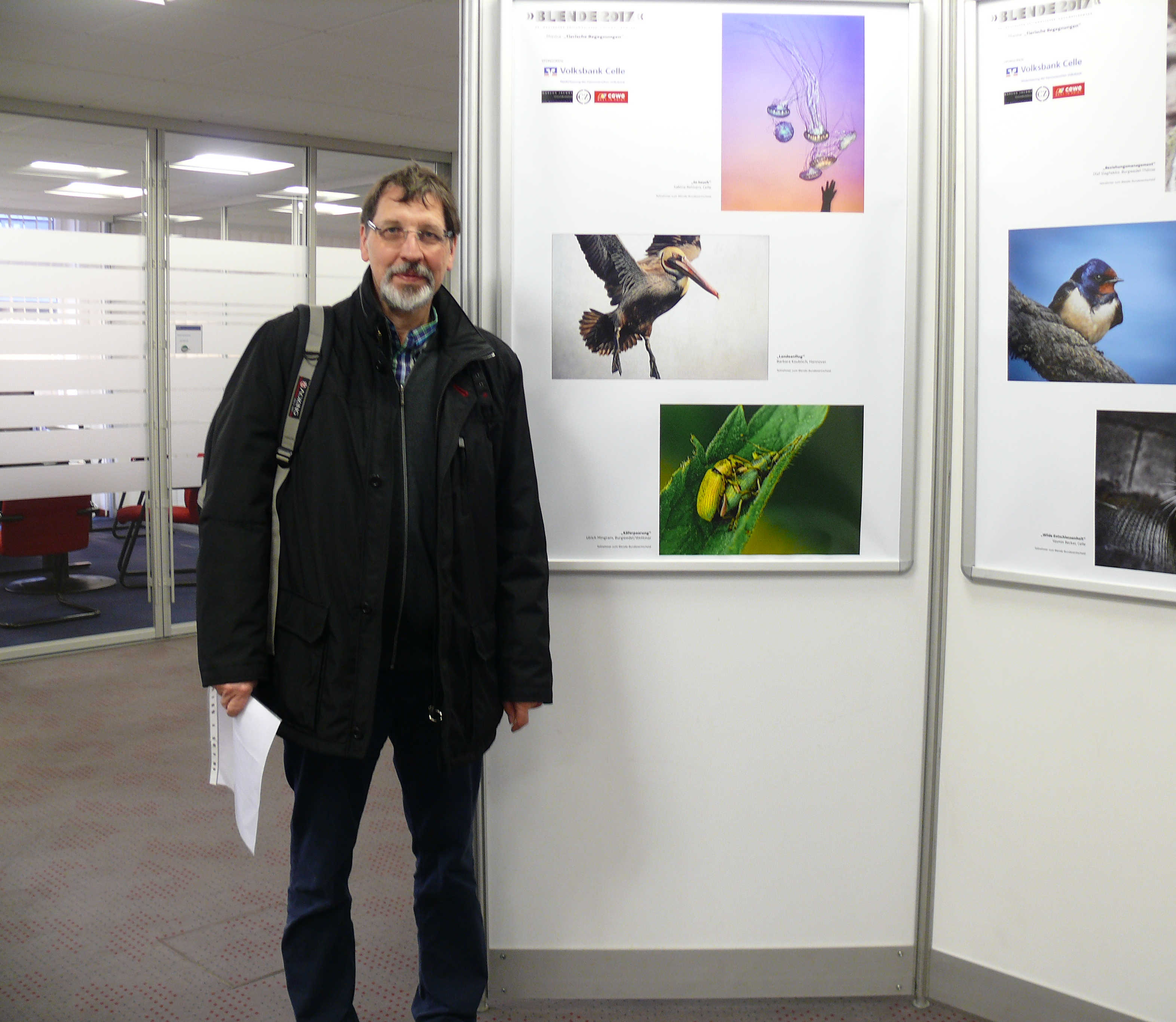 Ausstellung Volksbank Celle