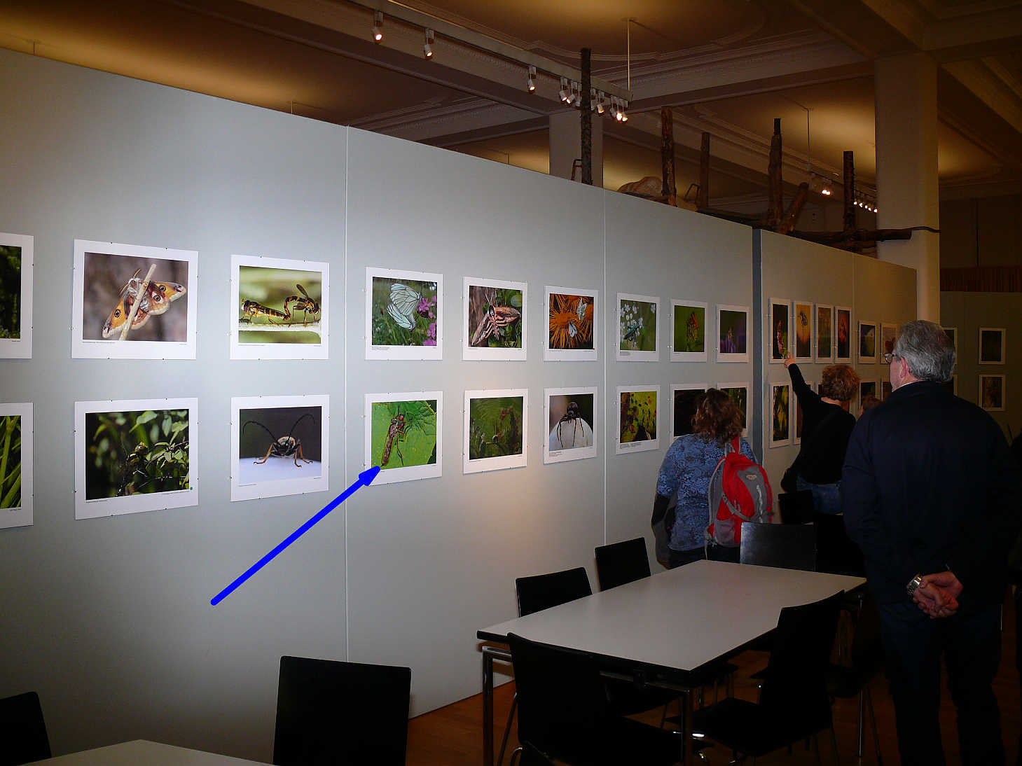 im Museum König