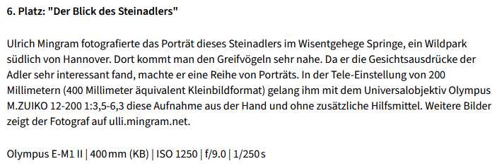 Text aus c't Fotografie
