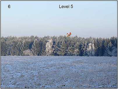Vogelfoto Sreenshot